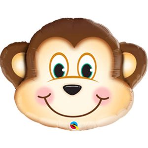 Singe Portrait